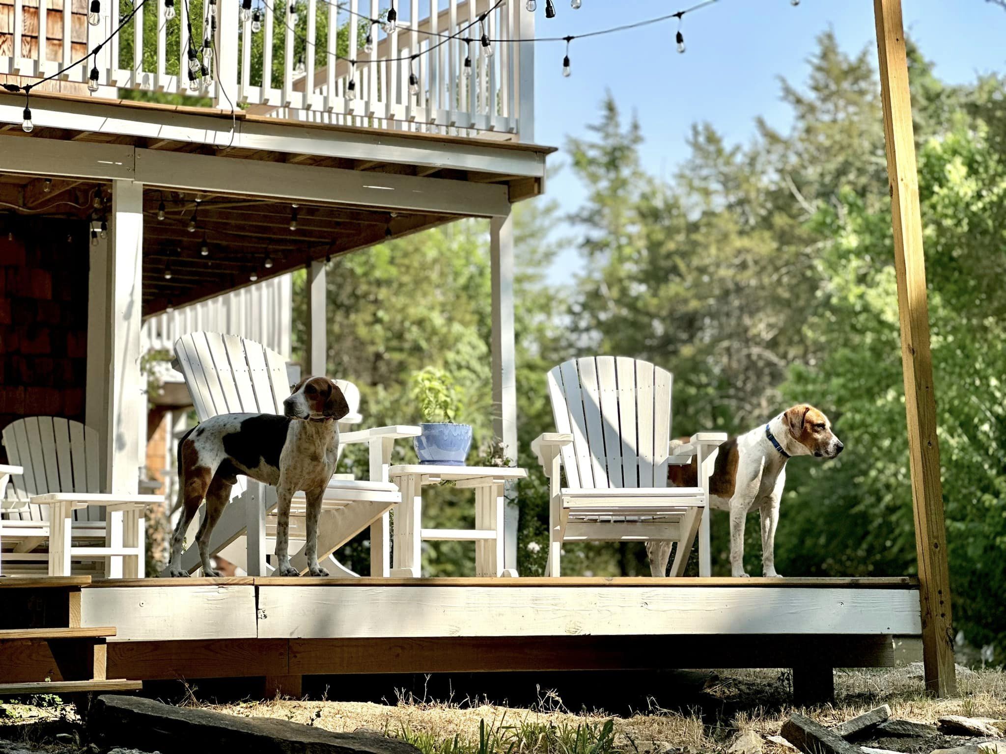 Logan and Oxbow porch-sittin