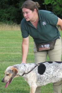 Huntsman Katherine Gunter training foxhounds