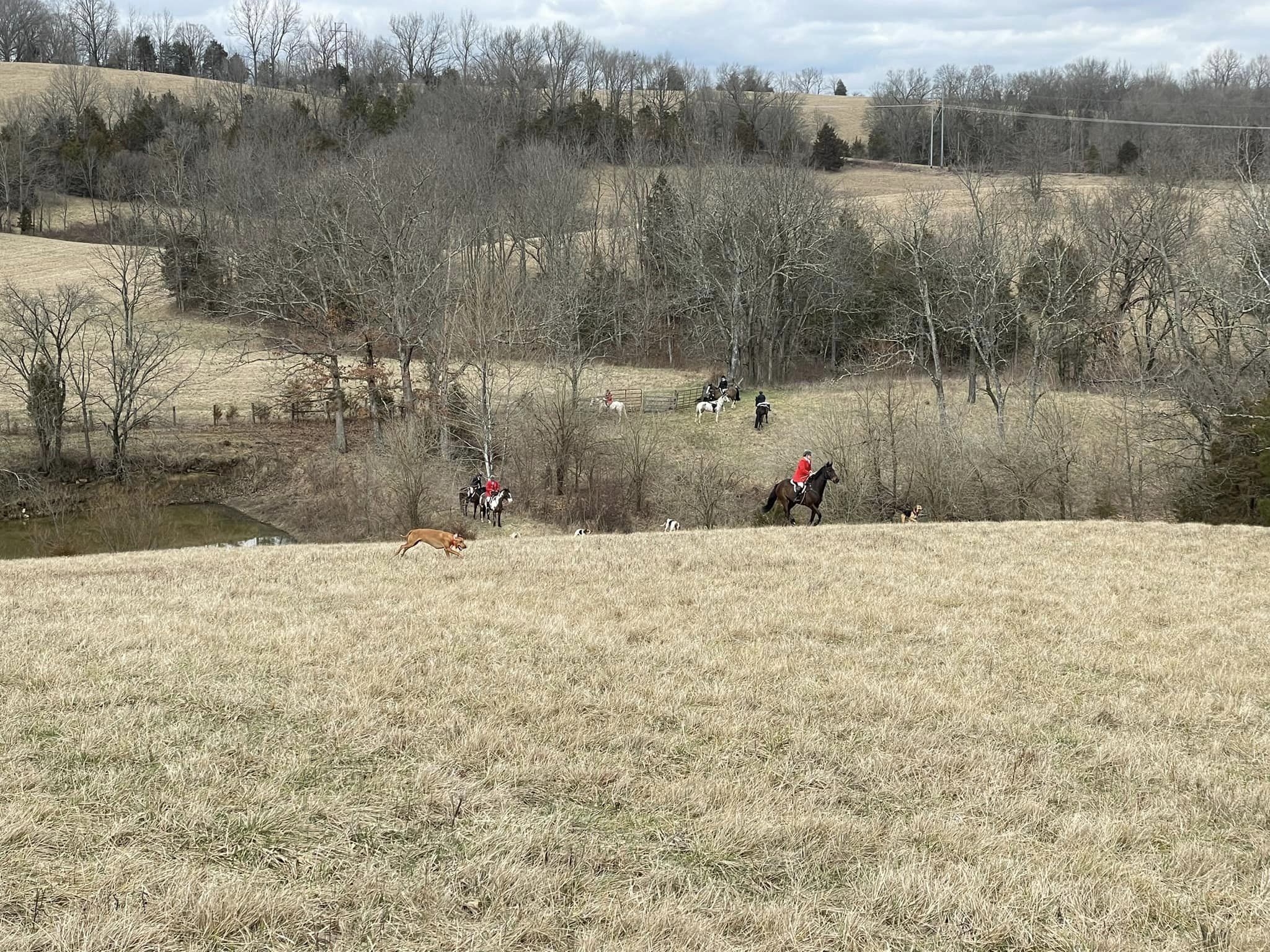 A view of Owen County country and Camargo Hunt from Mandy's whipper-in vantage point