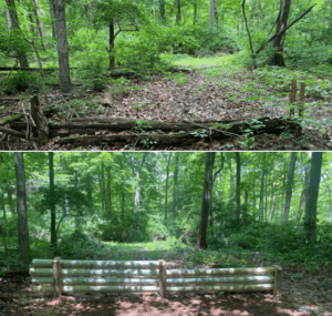 Jump: before and after