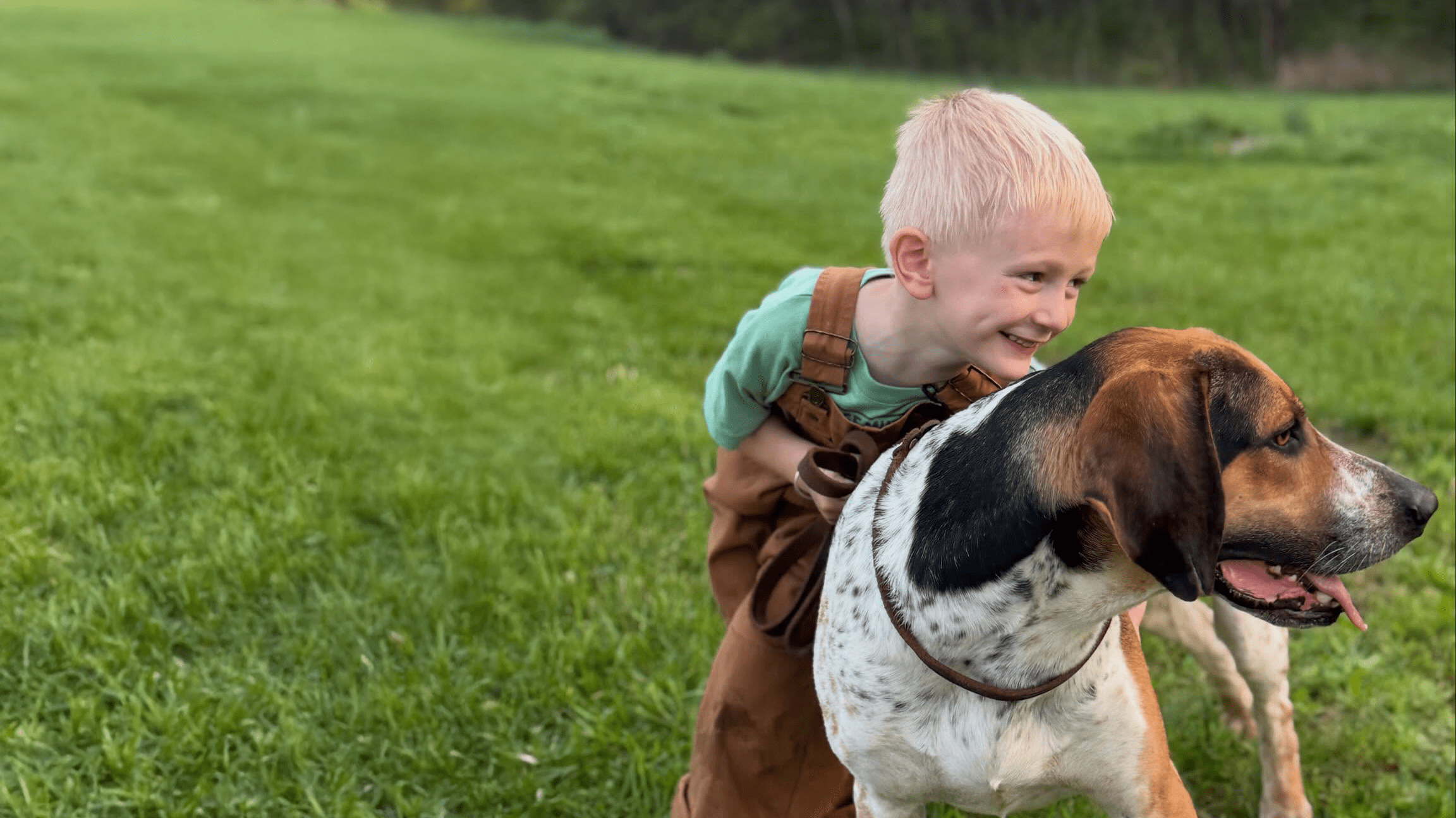 Lauren Gash's son Ben has fun with the puppies while practicing for the hound show. PC: Lauren Gash